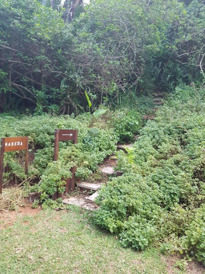 Ballito 69 Perissa Santorini Sea View, Walk To Beach -Family Only 外观 照片